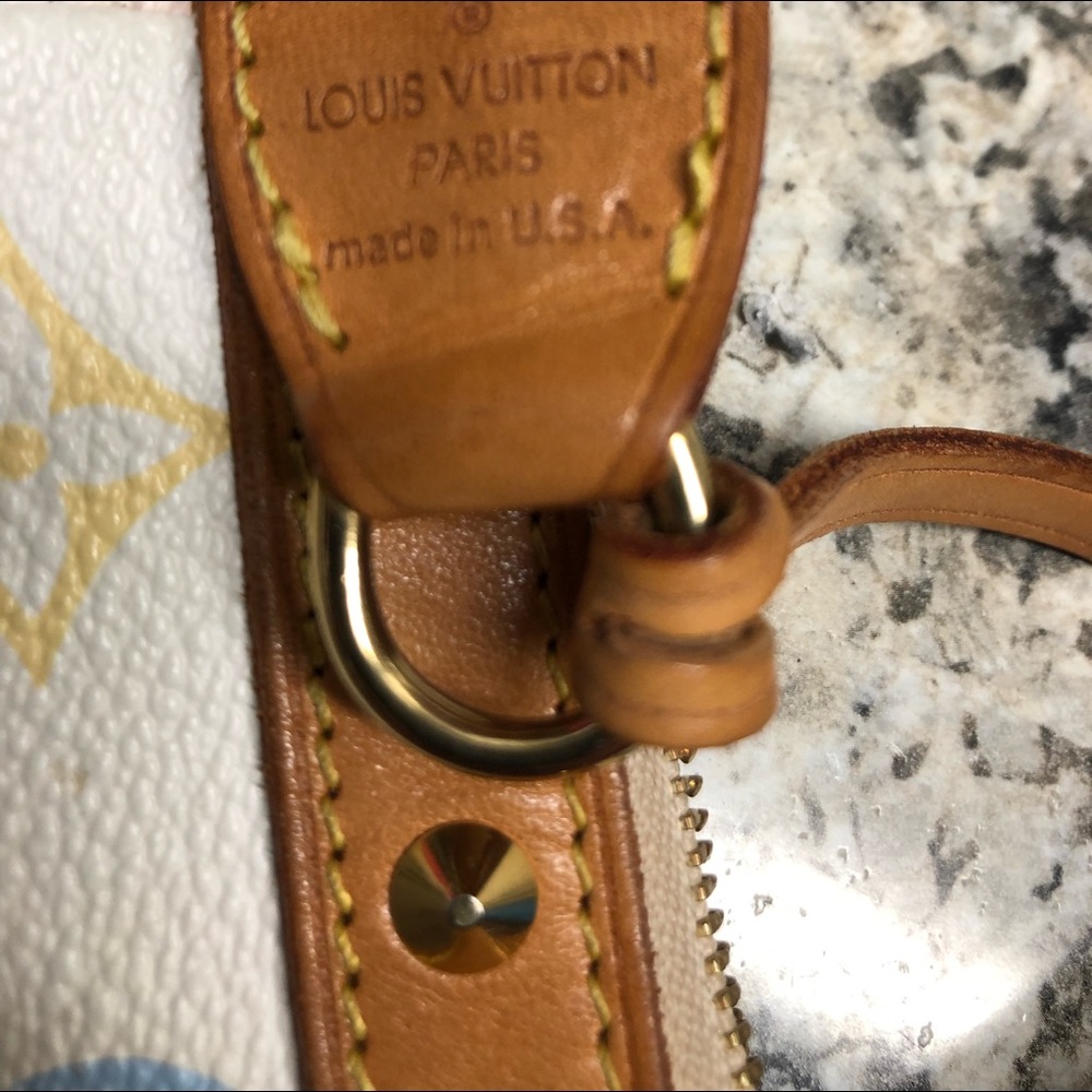 Louis Vuitton purse